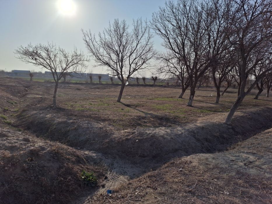 Yer sotiladi Buxoro viloyat shofirkon tuman