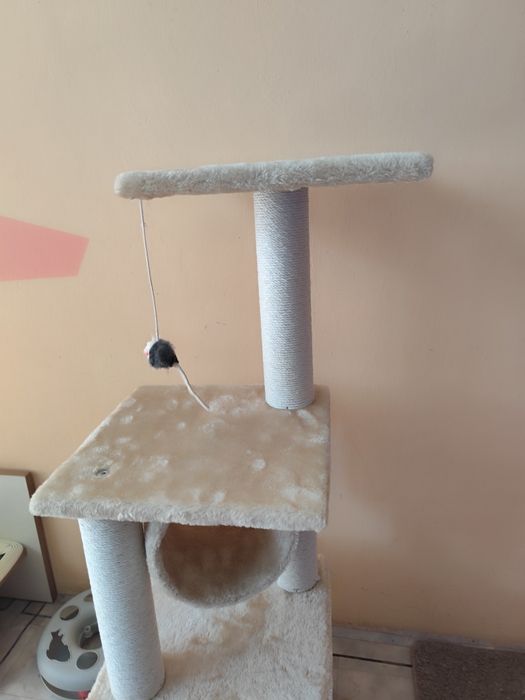 Нова котешка катерушка