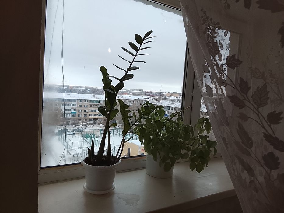 Продается Комната