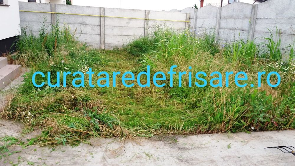 Curatare teren, iarba, ambrozie, maracini, arbusti, imprejmuire