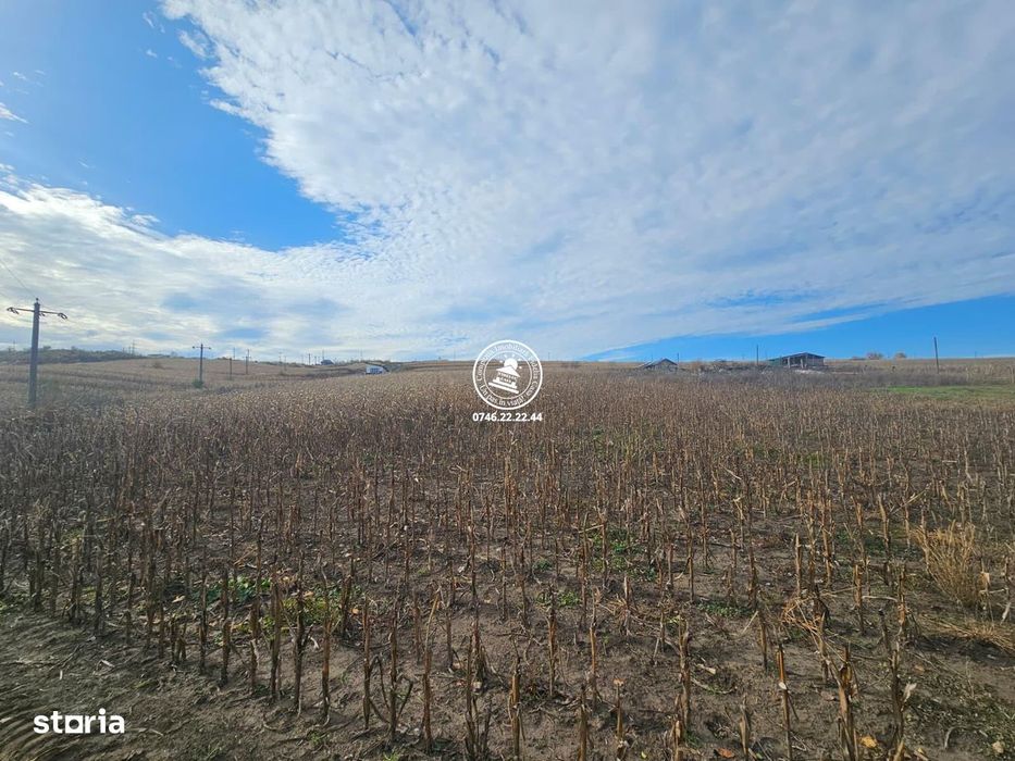 Teren de Vanzare Valea Lupului