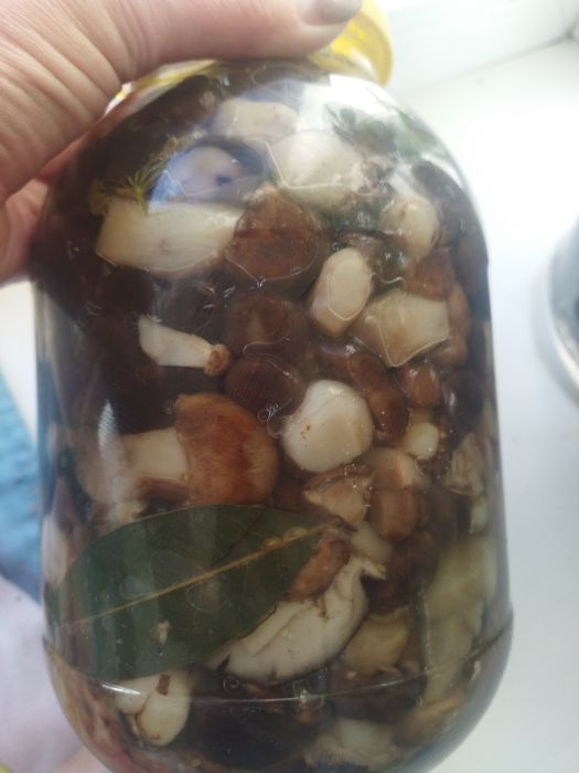 продам валуи вкусные