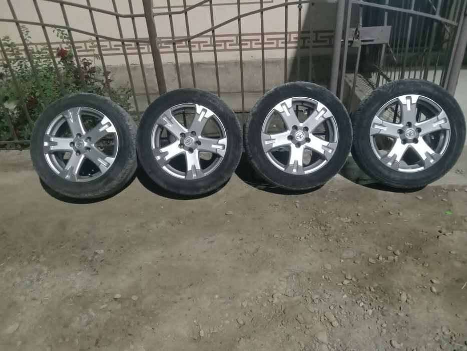 Дискы.таиота абенсус