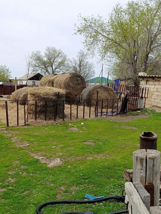 продается дом в поселке Бестау