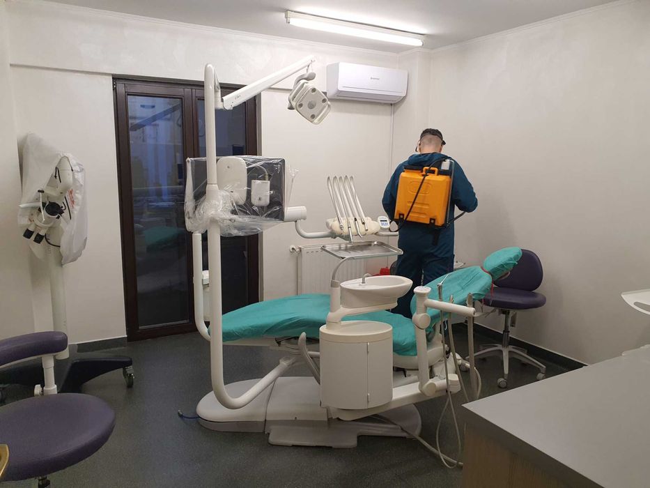 Servicii dezinsectie dezinfectie deratizare DDD si cuib de viespi