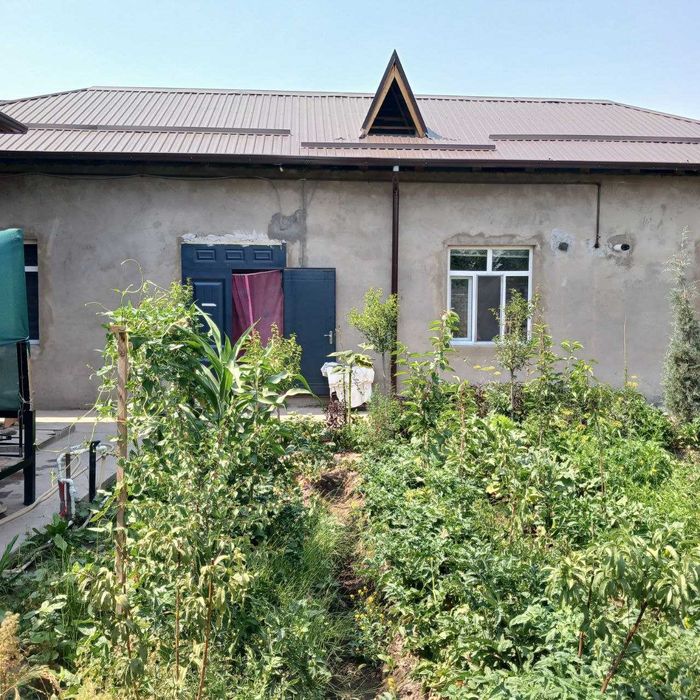 Продаётся 2 дома на 1 участке