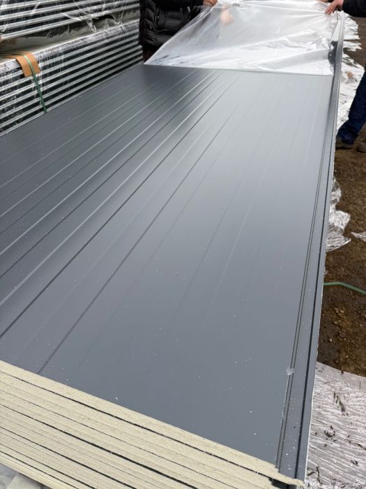 Panouri Sandwich Noi