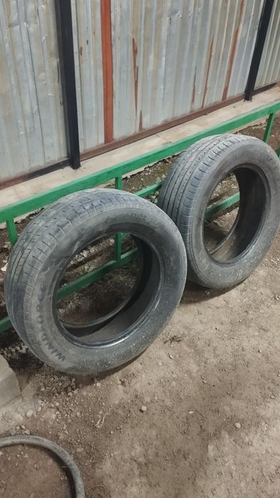 Автомобильный шины