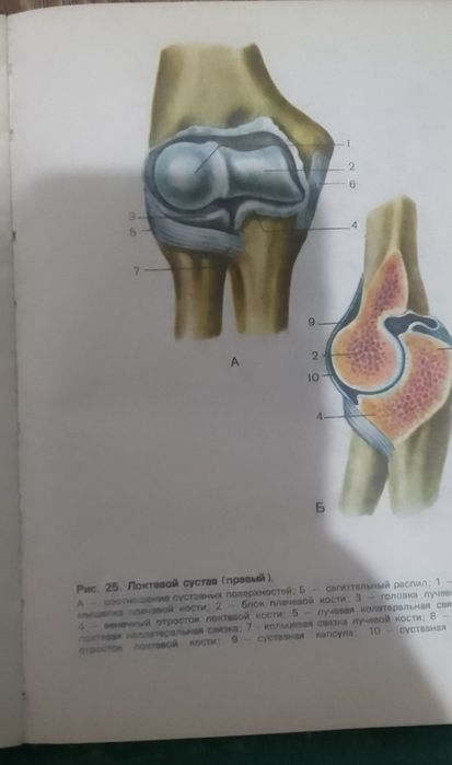 Продам книгу "Атлас анатомии человека"