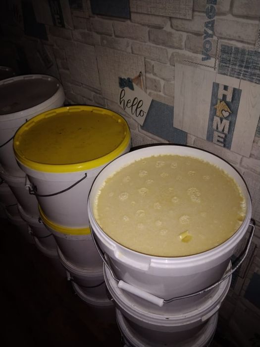 Мёд оптом и в розницу