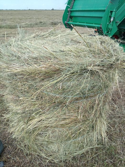 Продам рулоны. Луговое