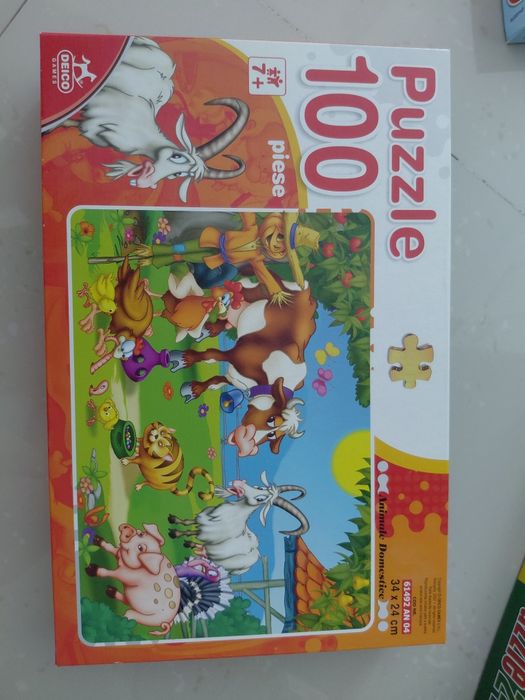 Lot 10 puzzle -uri diverse