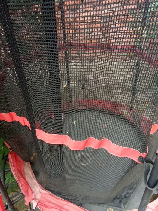 Trambulina pentru copii
