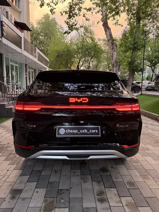 BYD Champion Smart 2025 yil