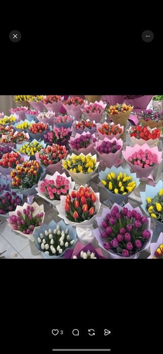 Тюльпан крупный местный