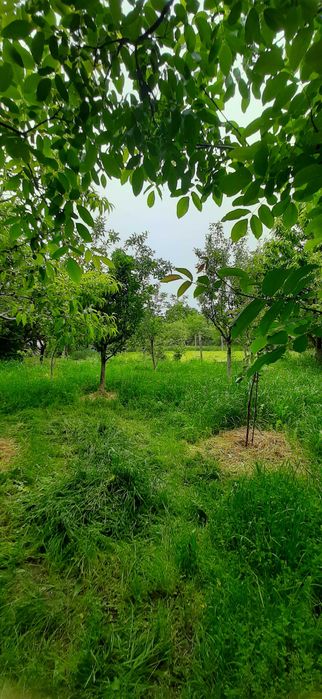 Продава се Къща в Търговище, Център - 130 кв.м за 510 €/кв.м - Снимка #5