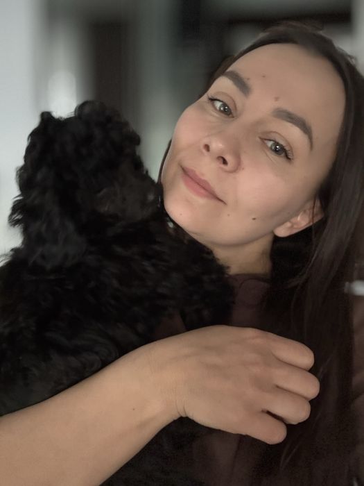 Продам шенка  той-пудель, девочка