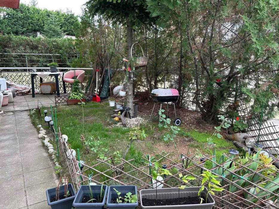 Тристаен! Обзаведен! Траката!