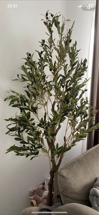 Planta artificiala maslin