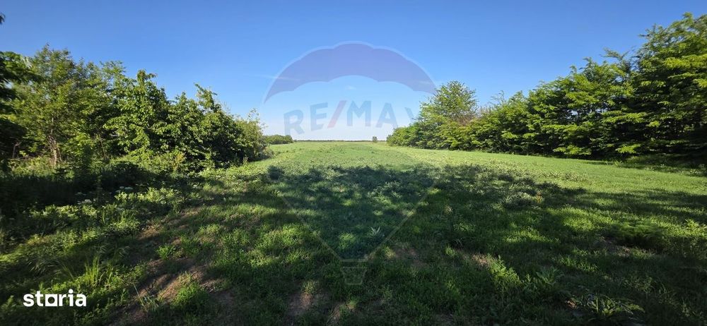 Teren de vanzare – 9458 mp – Bujoreanca Comuna Cornesti