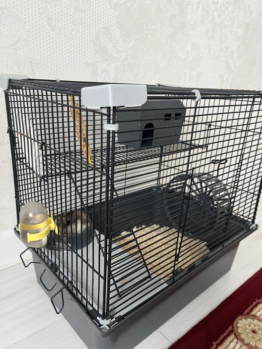 Продам хомяков с клеткой