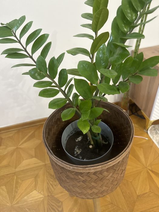 Кашпо для цветов