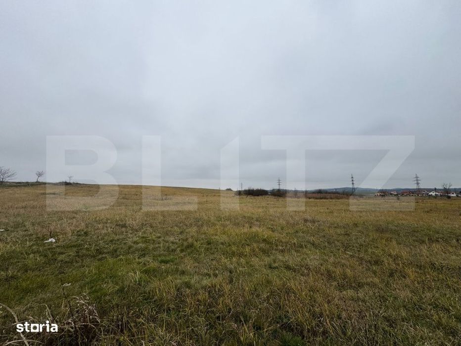 Teren intravilan 7665mp in Pricaz