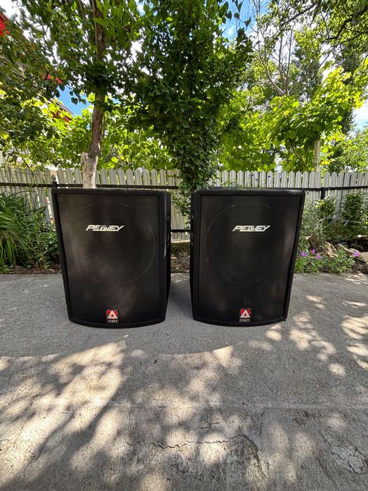 Vand 2 sub Peavey 118XT