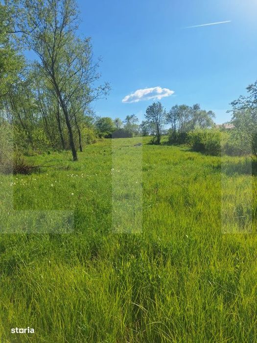 Teren de vanzare 1.600 mp cu deschidere la lac – zona Lacul Surduc