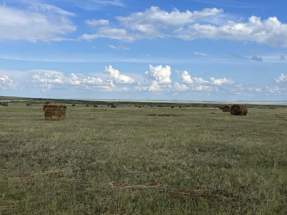 Крестьянское хозяйство дом базы земли техника