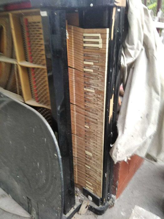 Рояль Estonia Эстония