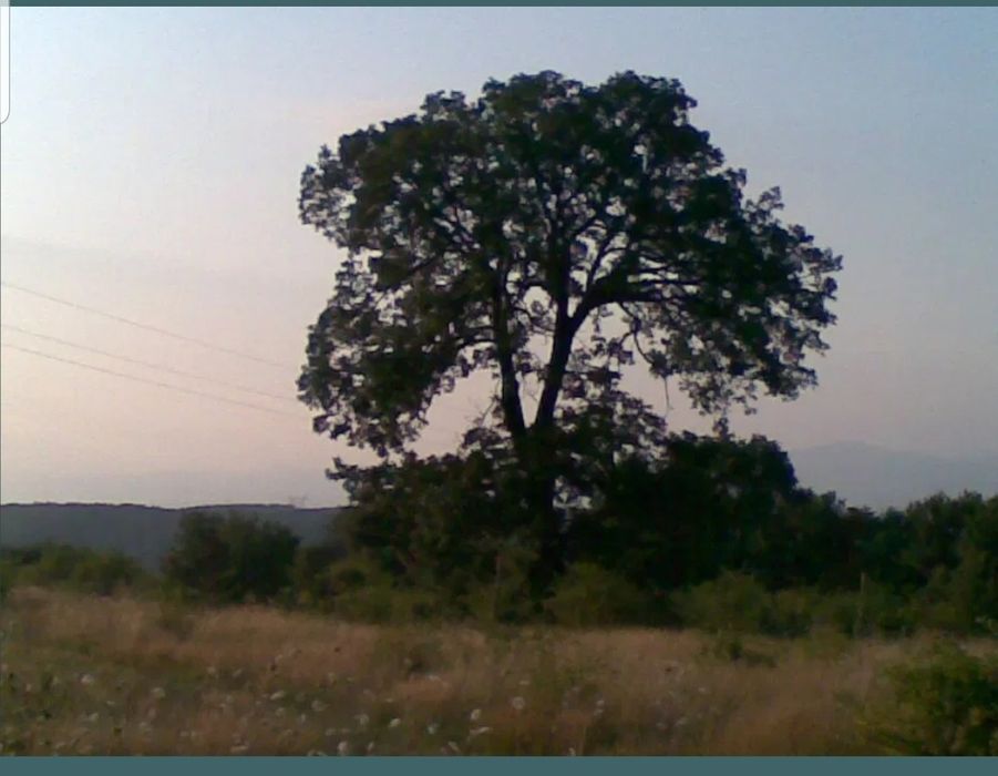 Продава се Земеделски имот в Варна, Младост 2 -  кв.м за 112500 €/дка - Снимка #1