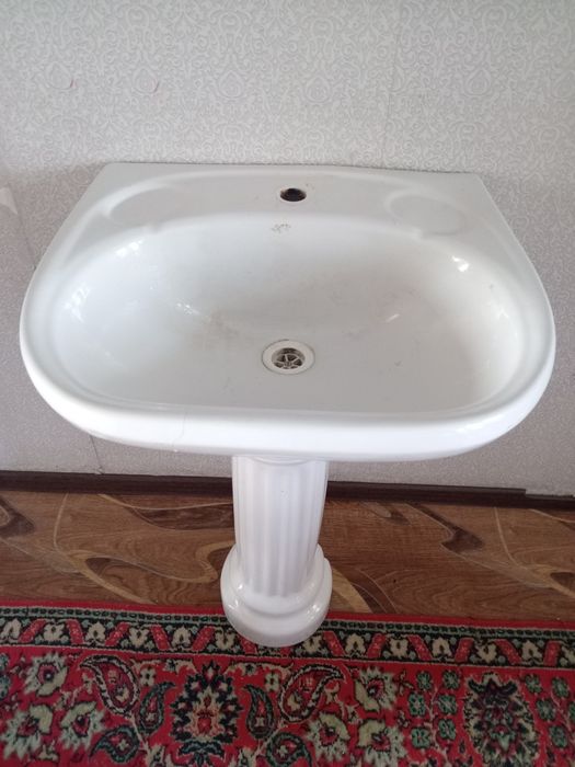 Раковина тюльпан