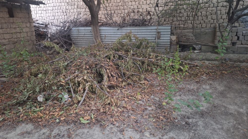 ÕTin sotiladi srochna