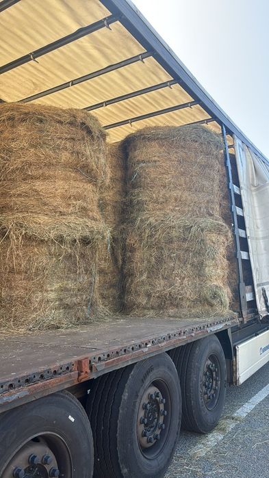 Livram la comanda baloti fan sau Lucerna. Min.40 rotunzi 1,2m x1,2 m sau drept.cate 500.Transport inclus la TIR RO HU