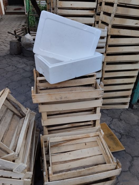 Продам ящики пенопласт