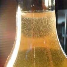 Култури с жива храна (Daphnia Moina, бели червеи и оцетни змиорки).