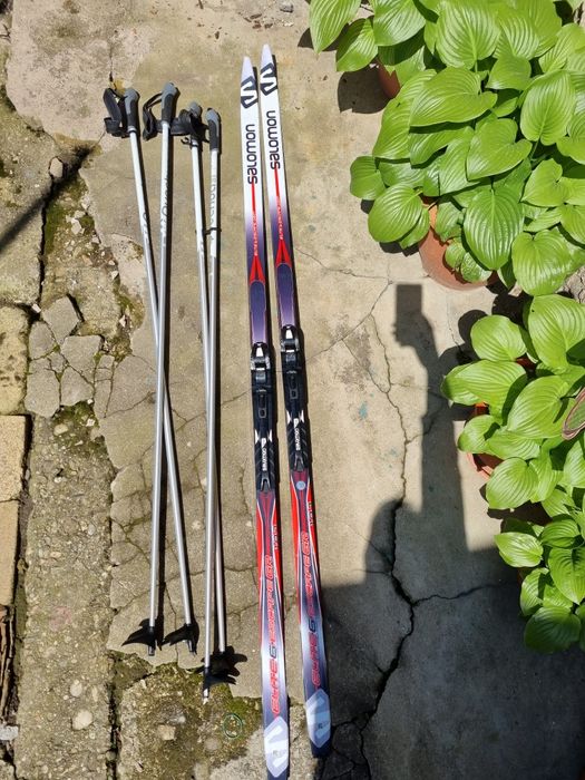 Vand Schi cu bețe Solomon