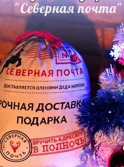 Акция! Подарочный мешок Северная почта