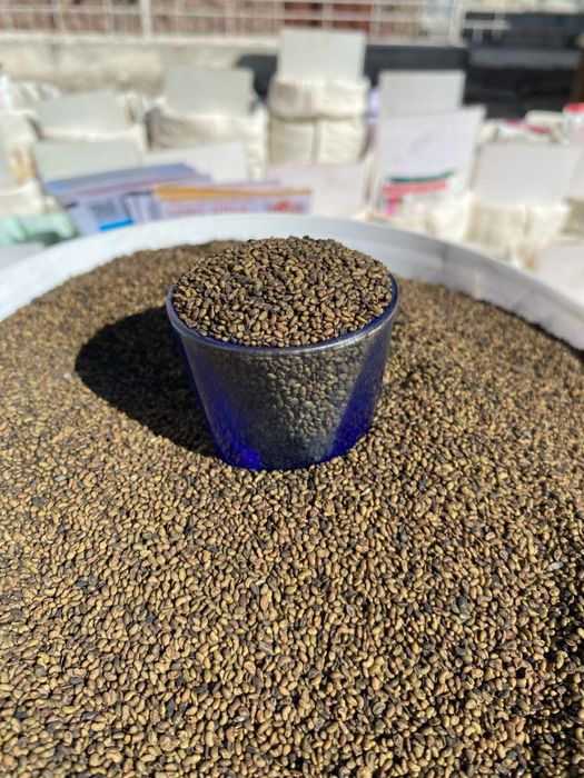 Семена Разного Вида Все Сорты имеются