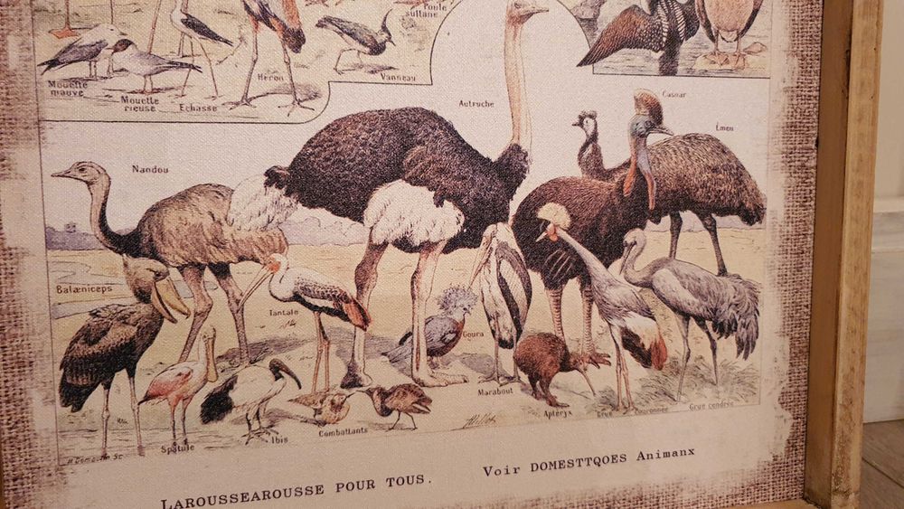 Фауна– Старинен ефект, дървена рамка, 60см/ 40см