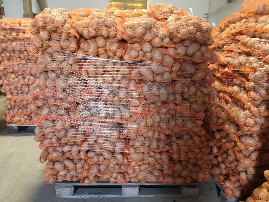 Cartofi de consum Paradiso