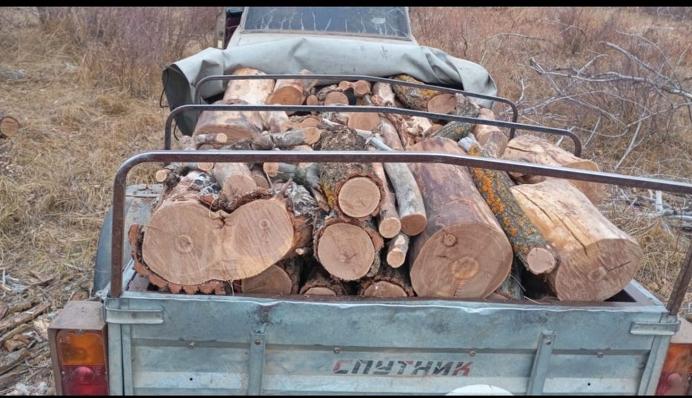 Продам сухие дрова карагач