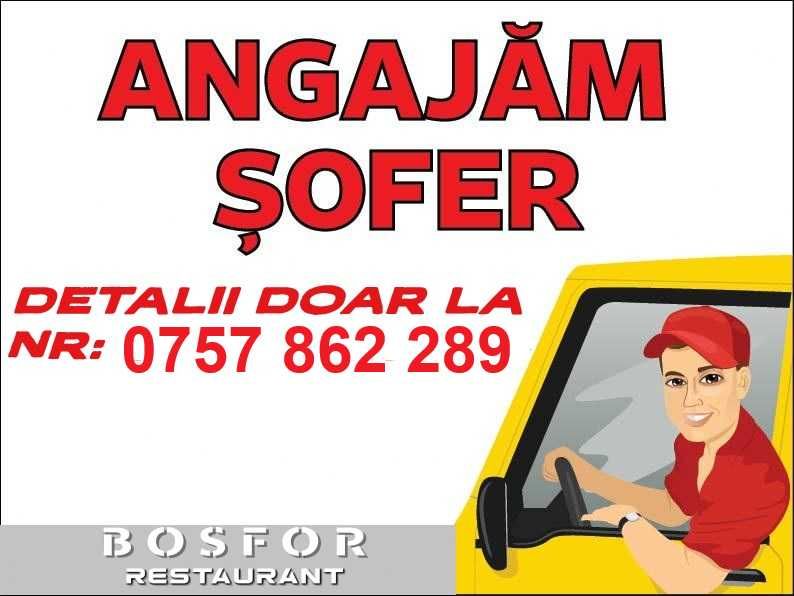 Oferim un post de sofer