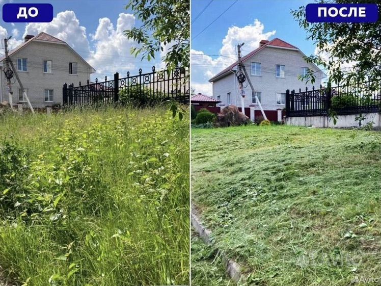 Покос травы не дорого