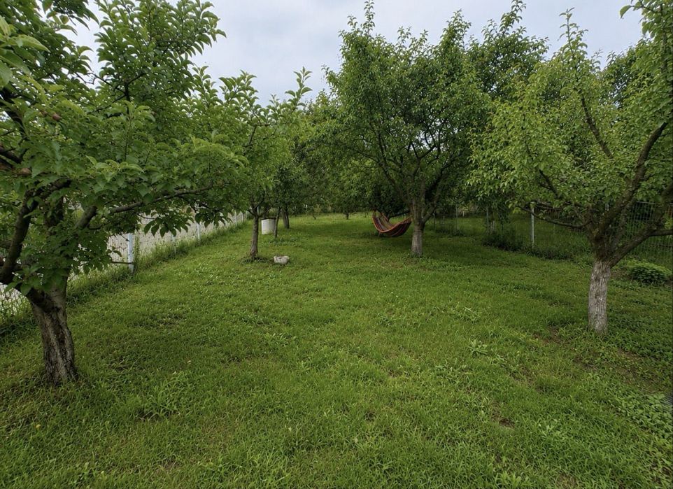 Proprietar, vand casa Tomesti, 4 camere, 2 bai, 119mp utili, 580 mp teren, panouri fotovoltaice, garaj si anexa