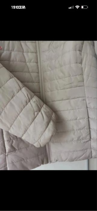 Jacheta primavara dama