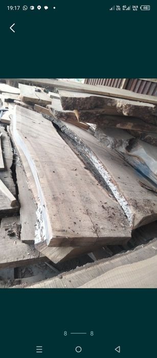 Лес Карагач Дуб Ясень Орех ,.