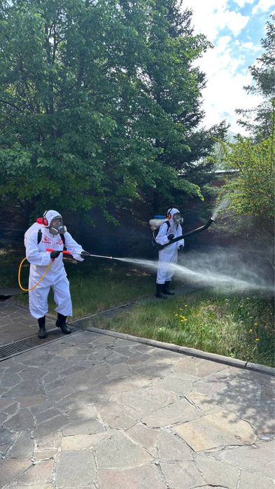 Дезинфекция. Уничтожение тараканов. Уборка. Муравьи .таракан