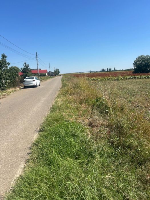 10 000 mp Teren Intravilan - 5 minute de A7 (3.2 km )  -  Bajani - Vadu Pasii - Negociabil